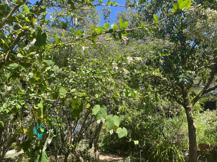 4 Bedroom Property for Sale in Bathurst Eastern Cape